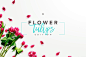 郁金香花卉场景样机 Flower Tulips Edition – Custom Scene #1491275