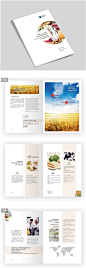 美国神州淀粉-其它-案例展示-北京画册设计，宣传册设计，三合设计