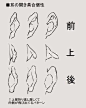 来自分享