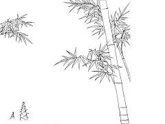 手绘竹子素描_百度图片搜索
