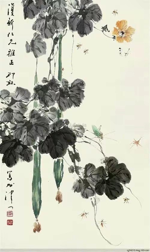 来自分享
