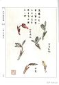 《芥子园画谱第二集-梅兰竹菊》上  国画花卉山石树木绘画资料美术素材图片保存第三组 ​​​ : 《芥子园画谱第二集-梅兰竹菊》上 国画花卉山石树木绘画资料美术素材图片保存第三组 