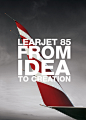 Bombardier Learjet - logo : More than 40 years after the creation of the first Learjet, Bombardier marketing team mandated BBDO Montreal to create an ownable icon to help promote the legendary plane family. The stripes represent the four different models 