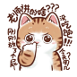 抠鼻屎猫咪头像(6只) - 小红书