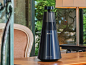 Beosound 2 Riva：Bang & Olufsen 推出的具有船摇低音的航海扬声器，可在 Gadget Flow 上找到
