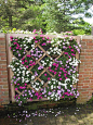 Impatiens love the shade. This is a cool way to display them. Chicago Botanic Gardens: 