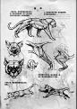 【资料交流】动物画技法 中文版 扫描_动物绘画吧_百度贴吧