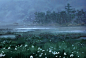Marshland