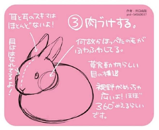 兔纸的画法3，教程，漫画，绘画，手绘，板...