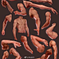 人体肌肉的绘法，ins：howto_artist ​（转）via @板绘插画教程 ​​​​