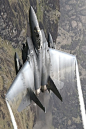 ♂ Grey F-15E Strike Eagle #ecogentleman #automotive #transportation #wings