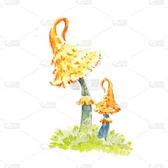 神奇的蘑菇在水彩画。