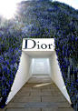 DIOR花山 (1)