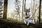 #nature, #animals, #dog | Wallpaper No. 560948 - wallhaven.cc