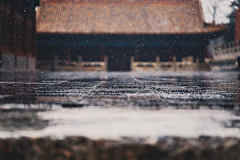 大云S-nana采集到分镜