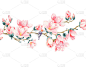 玉兰花插图