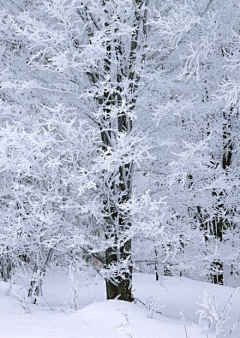 人称子墨采集到场景素材——冰雪