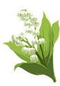 新图网_绿色风铃草_ixintu