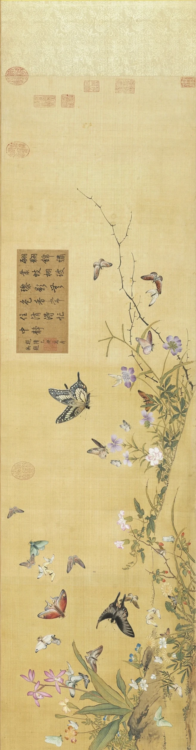 国画临本－清 余省 百蝶图 - 小红书-花瓣网