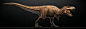 Tyrannosaurus Rex Jurassic Park, Fernando Usabiaga Bustos : Hi there! This is my last personal project, it is a model for the cool people of Creature Animation Workshop. Its gonna be insane to watch it animated, cant wait!

I used ZBrush and Modo for Rexy