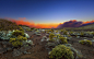 General 1920x1200 landscape nature plants