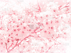 gmy感冒药采集到花