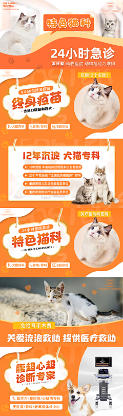 用户s96TKBgp采集到宠物banner及主图