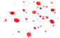 Eff_zhiwu