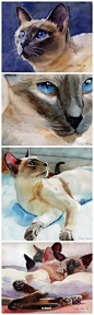 画家Rachel Parker笔下高贵神秘的暹罗猫，淡淡的笔触，水灵灵的眼睛 