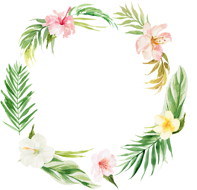 @冒险家的旅程か★
花环png 花圈 花...