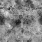 brown_mud_leaves_01_disp_4k.png