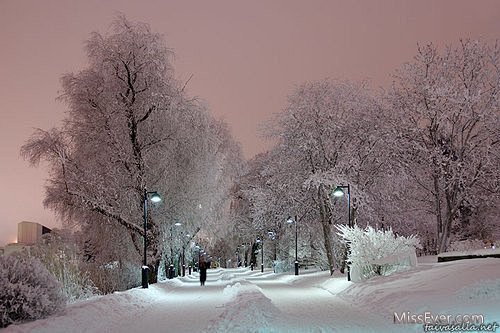 冰天雪地的唯美