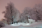 冰天雪地的唯美