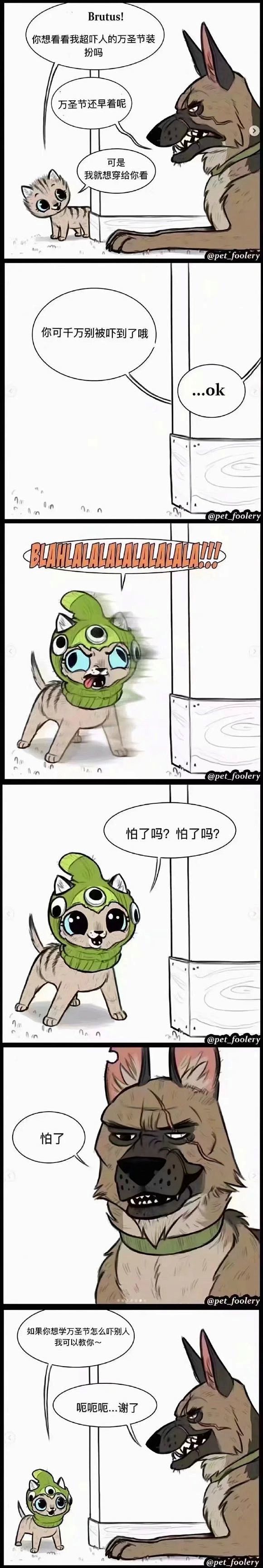 【图片】#漫画# 役军犬和小猫咪的漫画，...