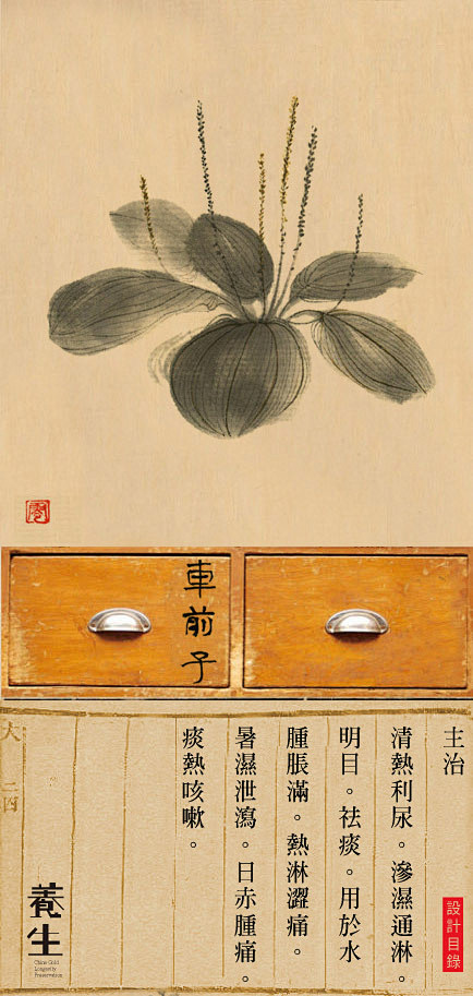 本草中國。L《本草中国》大型中医药文化系...