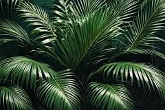 自然植物叶子背景图