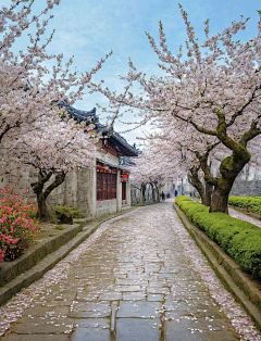~小迷糊~采集到停停走走 悠闲小镇