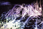 p44185115.webp