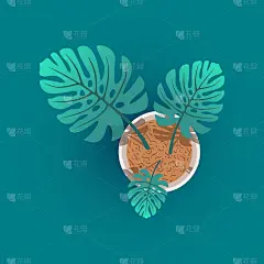 盆中怪兽树的插画