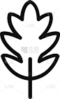 叶子,计算机图标,生物学,华丽的,清新,环境,植物群,模板,植物,花