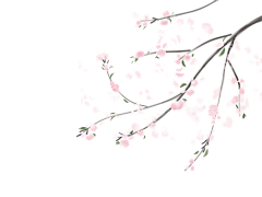 颂komo采集到关注即可商系列2