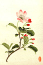 《文美斋诗笺谱》