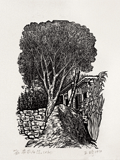 小石_新阅读采集到乡野_版画