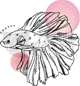 自然美,水下,金鱼,海洋,线条画,菜单,球座,食品,复古