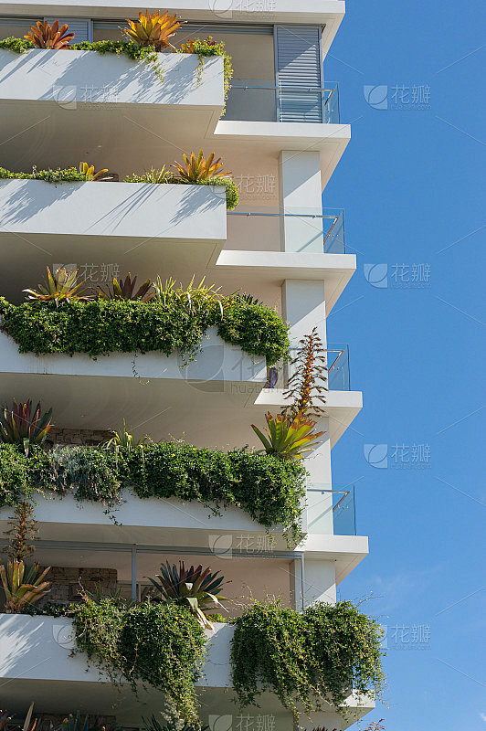 高大的白色建筑，阳台上挂着新鲜的绿色植物