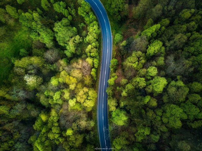 森林 顶视图 树木 俯视摄影 风景图片