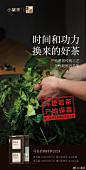 @小罐茶 的个人主页 - 微博