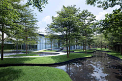 youyoumama采集到water feature
