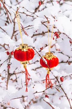 灯笼,雪,红色,传统,寒冷,春节,中国灯笼,环境,传统节日,中国