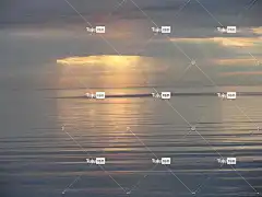 日出 早晨的天空 景观 海滩 安详 粉色的 美丽的 水